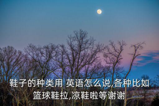 運動鞋英語怎么說,武漢女子出動救援人員搜救行動物品
