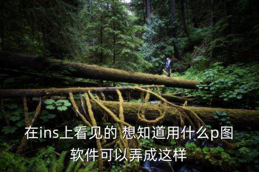在ins上看見的 想知道用什么p圖軟件可以弄成這樣