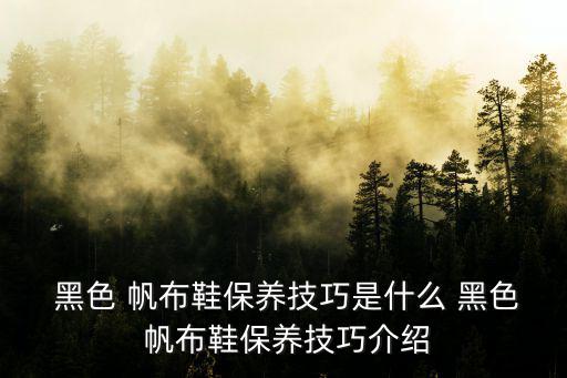  黑色 帆布鞋保養技巧是什么 黑色 帆布鞋保養技巧介紹