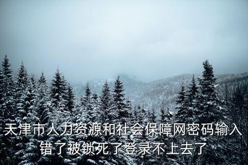 天津市人力資源和社會保障網(wǎng)密碼輸入錯了被鎖死了登錄不上去了