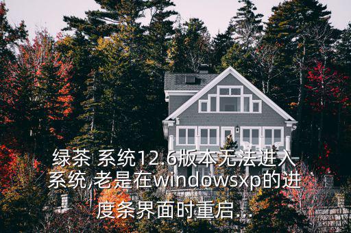 綠茶 系統12.6版本無法進入 系統,老是在windowsxp的進度條界面時重啟...