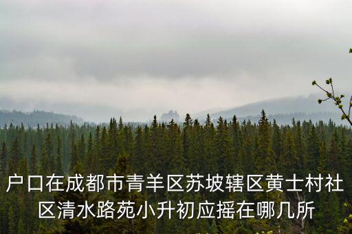 戶口在成都市青羊區蘇坡轄區黃士村社區清水路苑小升初應搖在哪幾所