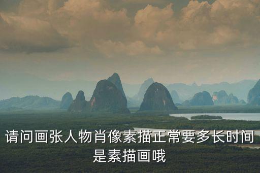 請問畫張人物肖像素描正常要多長時間是素描畫哦
