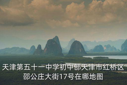 天津第五十一中學初中部天津市紅橋區邵公莊大街17號在哪地圖