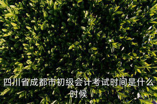 四川省成都市初級會計考試時間是什么時候