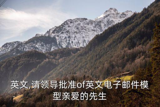 批準英文,請領導批準of英文電子郵件模型親愛的先生