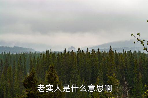 老實人是什么意思,打老實人是不對的,實際工作還是要靠實人