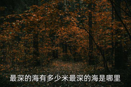 深的海,世界最深海溝挑戰者深淵紀念英國船只發現者8號