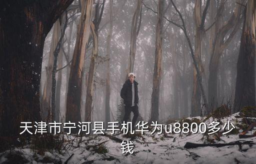 天津市寧河縣手機華為u8800多少錢