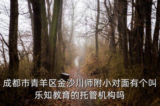 成都市青羊區(qū)金沙川師附小對面有個叫樂知教育的托管機構(gòu)嗎