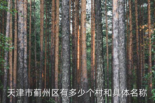 天津市薊縣三中院系，天津薊縣三中在什么地方