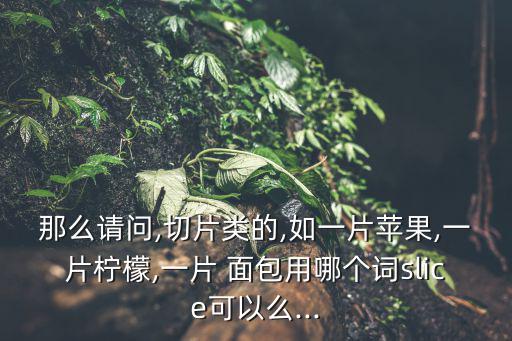 一片面包英語,面包一塊/一塊面包的同義詞