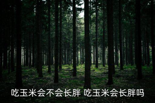 吃玉米會不會長胖 吃玉米會長胖嗎