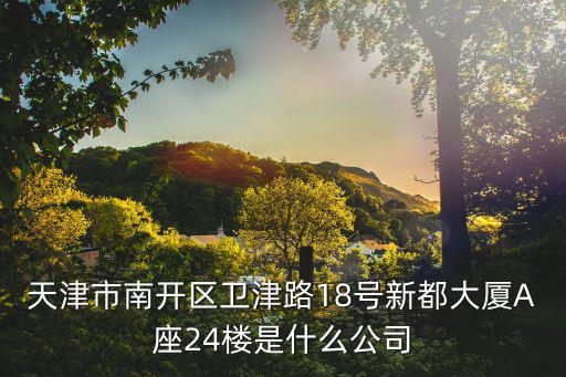 天津市南開區(qū)衛(wèi)津路18號(hào)新都大廈A座24樓是什么公司