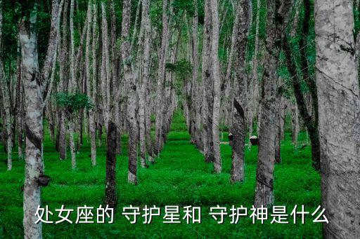處女座守護星,星期三特寫（十二）