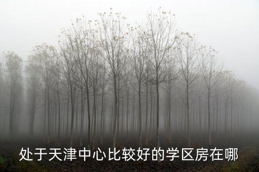 處于天津中心比較好的學區房在哪