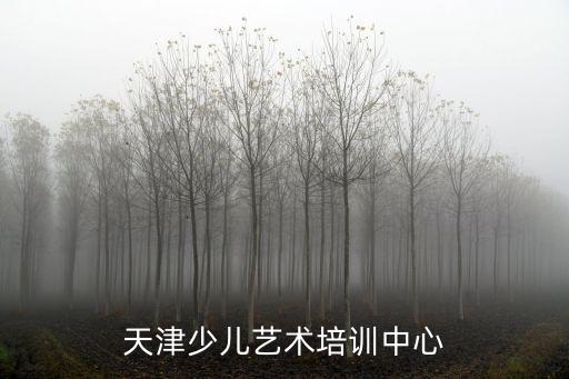 天津少兒藝術(shù)培訓(xùn)中心
