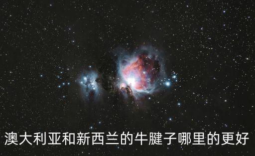 澳大利亞和新西蘭的牛腱子哪里的更好