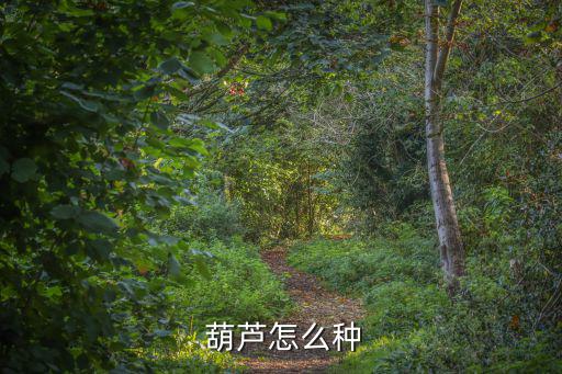  葫蘆怎么種