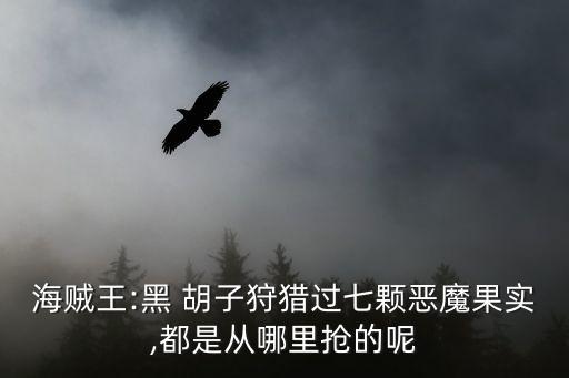 黑胡子海盜,海賊王:黑胡子海賊團走了又回來了