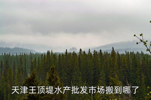 天津市王頂鮮活批，天津王頂?shù)趟a(chǎn)批發(fā)市場(chǎng)搬到哪了