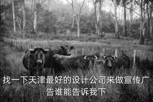 天津市武清集源廣告設計公司，天津地區的廣告公司待遇水平如何