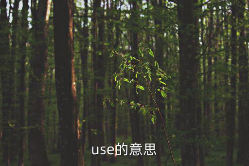 use的意思