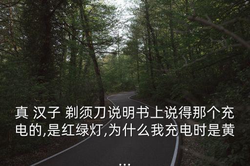 真 漢子 剃須刀說明書上說得那個充電的,是紅綠燈,為什么我充電時是黃...