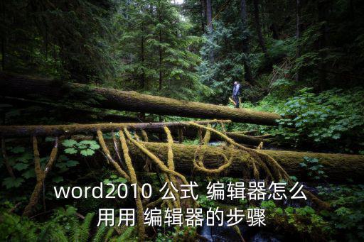 word2010 公式 編輯器怎么用用 編輯器的步驟