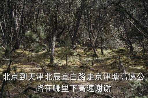 北京到天津北辰宜白路走京津塘高速公路在哪里下高速謝謝