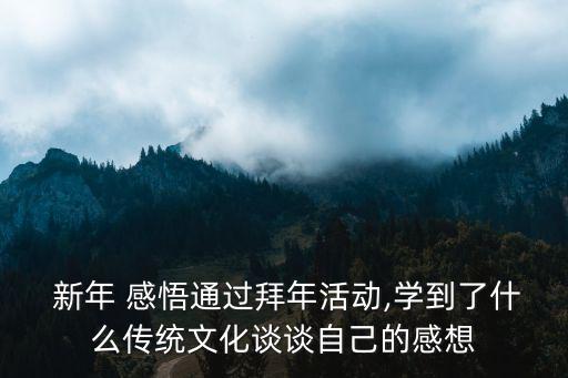  新年 感悟通過(guò)拜年活動(dòng),學(xué)到了什么傳統(tǒng)文化談?wù)勛约旱母邢? class=