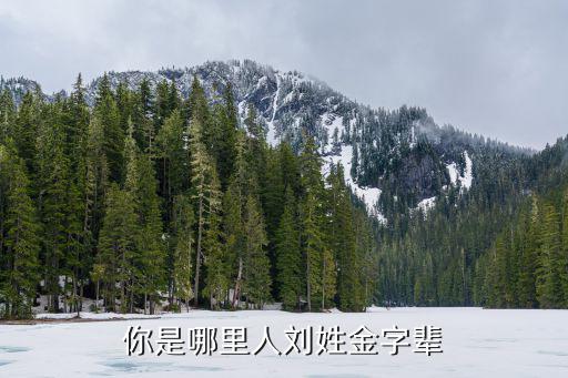 你是哪里人劉姓金字輩