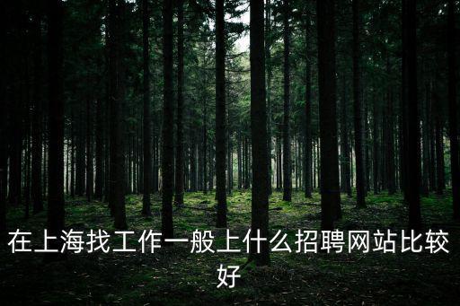 在上海找工作一般上什么招聘網站比較好