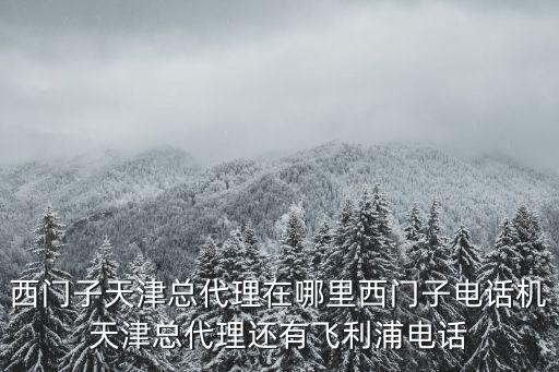 西門子天津總代理在哪里西門子電話機天津總代理還有飛利浦電話