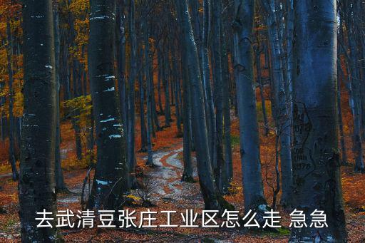 去武清豆張莊工業區怎么走 急急