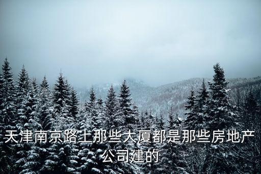 天津南京路上那些大廈都是那些房地產公司建的