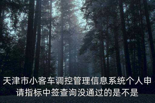 天津市小客車調控管理信息系統個人申請指標中簽查詢沒通過的是不是