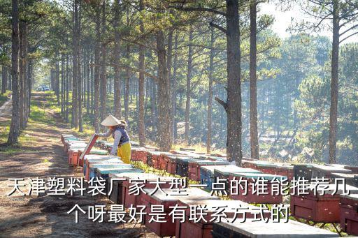 天津塑料袋廠家大型一點的誰能推薦幾個呀最好是有聯(lián)系方式的