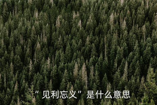 見利忘義的近義詞,利和弊有何差別?