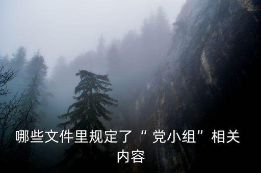 哪些文件里規(guī)定了“ 黨小組”相關(guān) 內(nèi)容