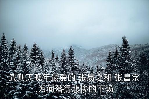 張易之和張昌宗,《我為什么喜歡你》男主角是模特李子峰