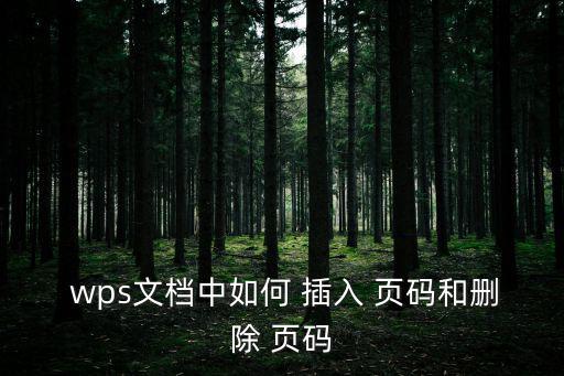 wps插入頁(yè)碼,wps如何插入和刪除文章頁(yè)碼?