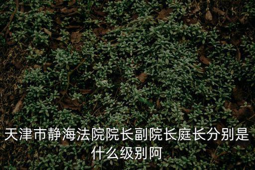 天津市靜海法院院長(zhǎng)副院長(zhǎng)庭長(zhǎng)分別是什么級(jí)別阿