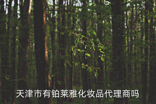 天津市有鉑萊雅化妝品代理商嗎