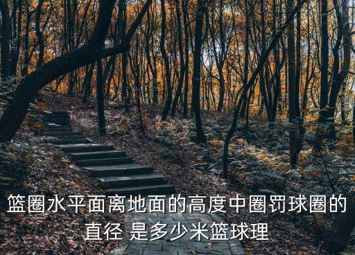 籃圈水平面離地面的高度中圈罰球圈的直徑 是多少米籃球理