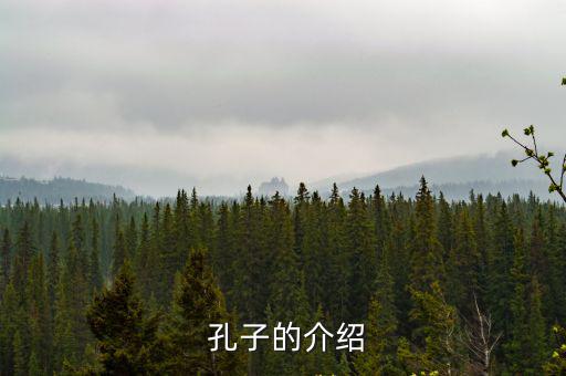 孔子是誰,做自己做的事而非對別人做