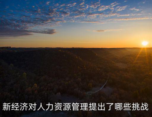 新經濟對人力資源管理提出了哪些挑戰