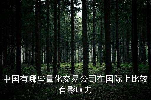 中國有哪些量化交易公司在國際上比較有影響力