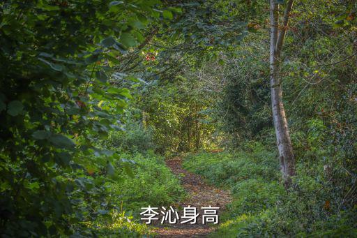 女演員李沁,《紅樓夢》飾演薛寶釵中國影視女演員