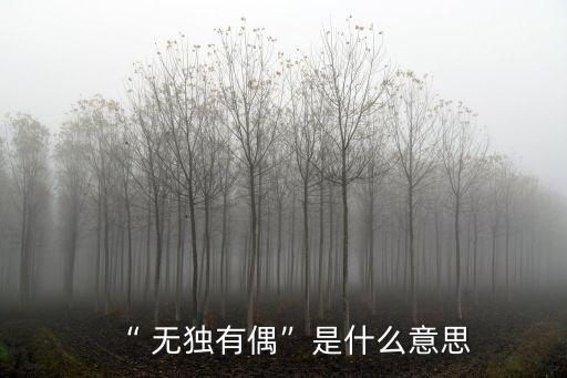 無(wú)獨(dú)有偶的近義詞,兩對(duì)雙胞胎同時(shí)出生公司同時(shí)提供免費(fèi)午餐
